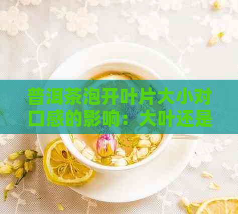 普洱茶泡开叶片大小对口感的影响：大叶还是小叶更美味？