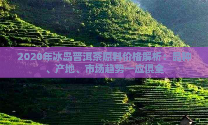 2020年冰岛普洱茶原料价格解析：品种、产地、市场趋势一应俱全