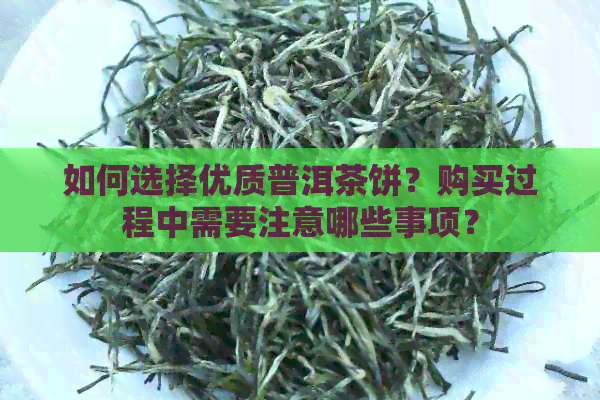 如何选择优质普洱茶饼？购买过程中需要注意哪些事项？