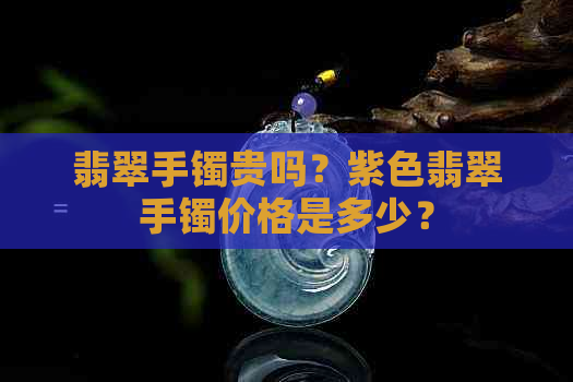 翡翠手镯贵吗？紫色翡翠手镯价格是多少？