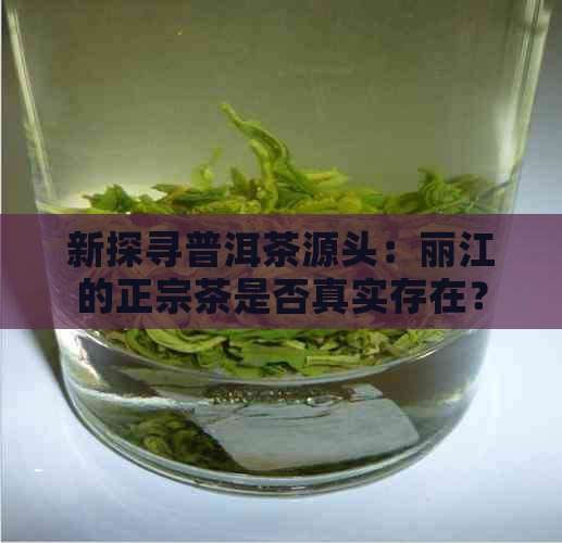 新探寻普洱茶源头：丽江的正宗茶是否真实存在？