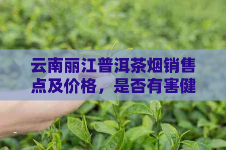 云南丽江普洱茶烟销售点及价格，是否有害健？一包多少钱？