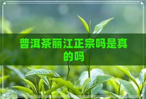 普洱茶丽江正宗吗是真的吗