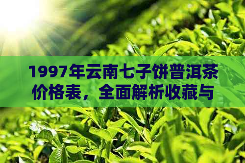 1997年云南七子饼普洱茶价格表，全面解析收藏与品饮价值