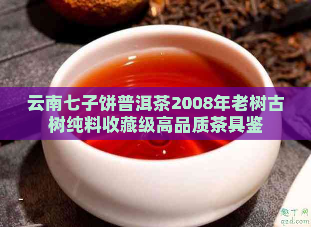 云南七子饼普洱茶2008年老树古树纯料收藏级高品质茶具鉴