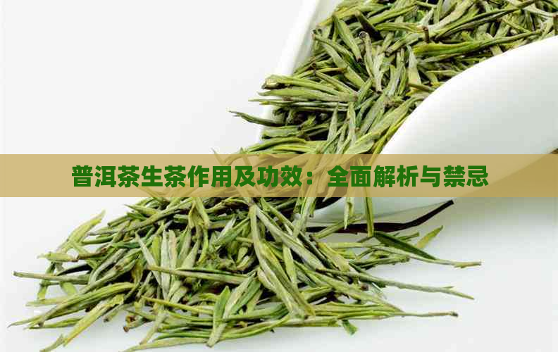 普洱茶生茶作用及功效：全面解析与禁忌