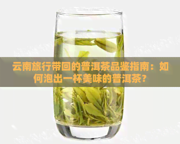 云南旅行带回的普洱茶品鉴指南：如何泡出一杯美味的普洱茶？