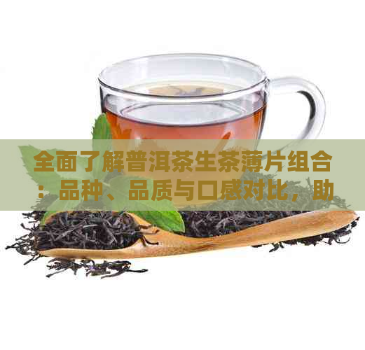 全面了解普洱茶生茶薄片组合：品种、品质与口感对比，助你轻松选购！