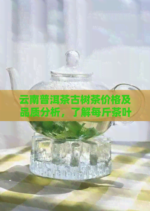 云南普洱茶古树茶价格及品质分析，了解每斤茶叶的真实价值与选购指南