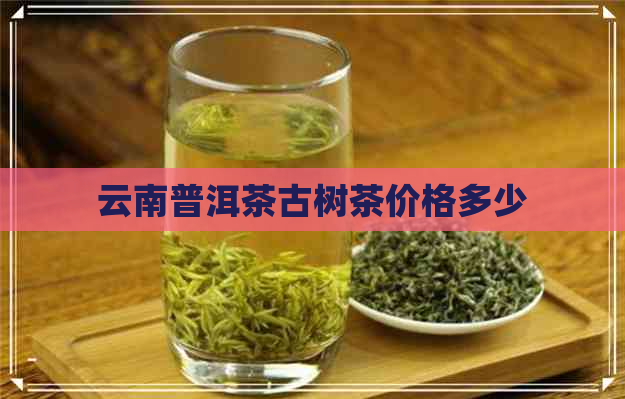 云南普洱茶古树茶价格多少