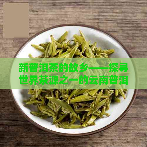 新普洱茶的故乡——探寻世界茶源之一的云南普洱茶产地