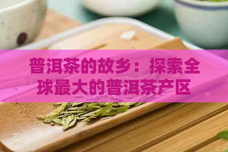 普洱茶的故乡：探索全球更大的普洱茶产区