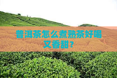 普洱茶怎么煮熟茶好喝又香甜？