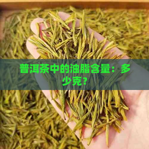 普洱茶中的油脂含量：多少克？