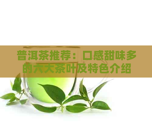 普洱茶推荐：口感甜味多的六大茶叶及特色介绍