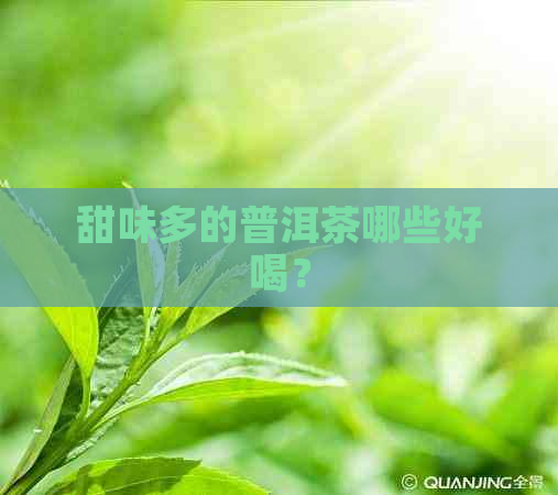 甜味多的普洱茶哪些好喝？