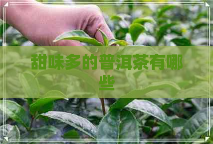 甜味多的普洱茶有哪些