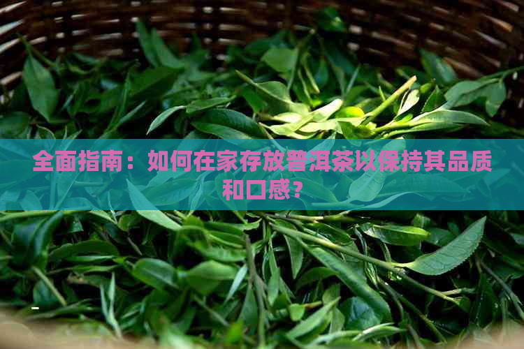 全面指南：如何在家存放普洱茶以保持其品质和口感？