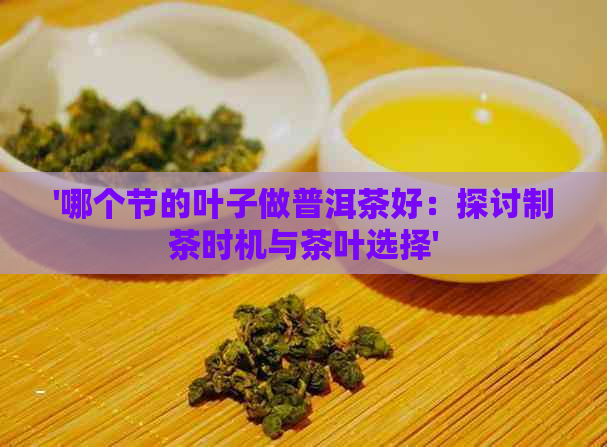 '哪个节的叶子做普洱茶好：探讨制茶时机与茶叶选择'