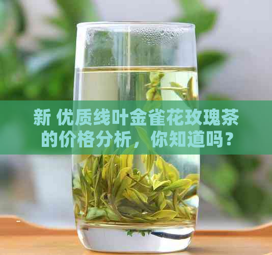 新 优质线叶金雀花玫瑰茶的价格分析，你知道吗？