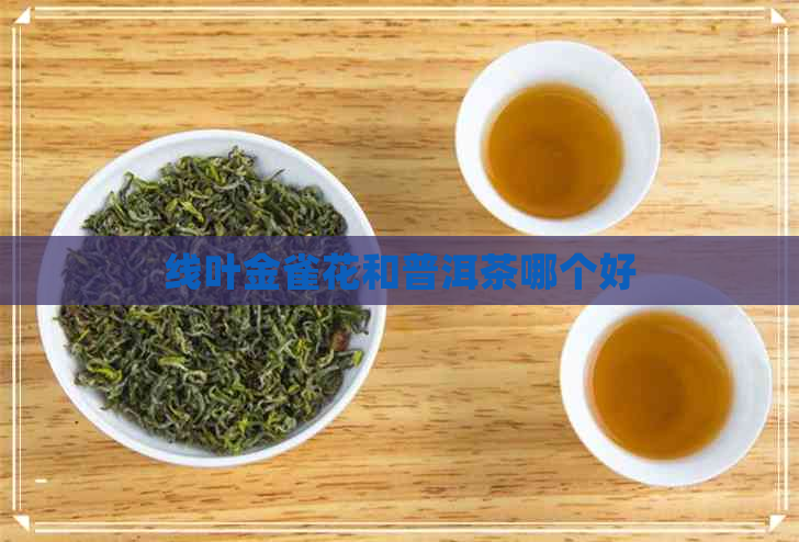 线叶金雀花和普洱茶哪个好