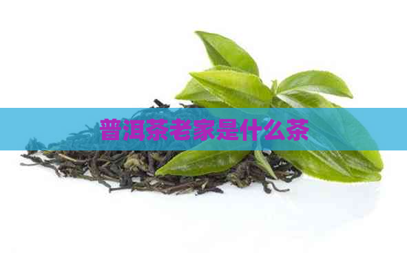 普洱茶老家是什么茶