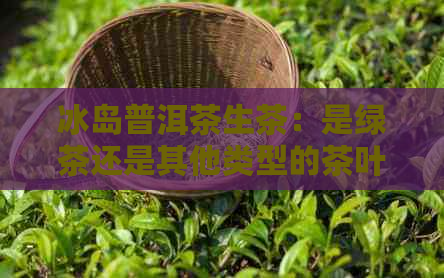 冰岛普洱茶生茶：是绿茶还是其他类型的茶叶？解答疑惑并比较各种因素