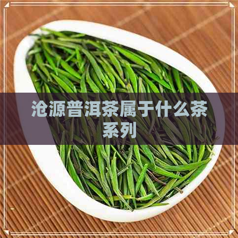 沧源普洱茶属于什么茶系列