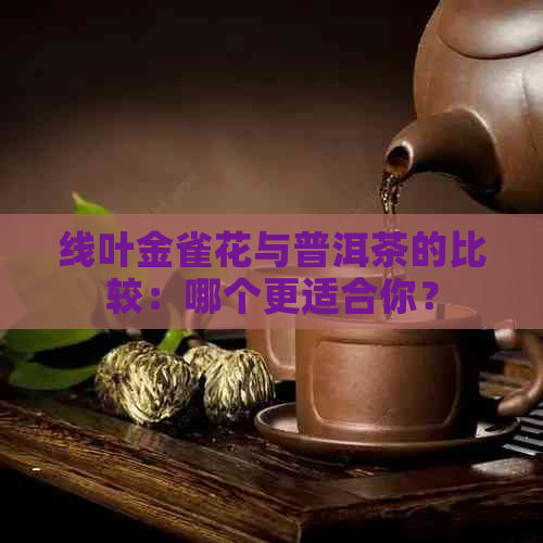 线叶金雀花与普洱茶的比较：哪个更适合你？