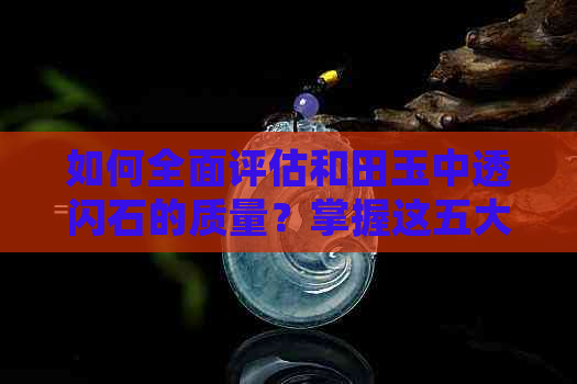 如何全面评估和田玉中透闪石的质量？掌握这五大指标，轻松鉴别好坏！