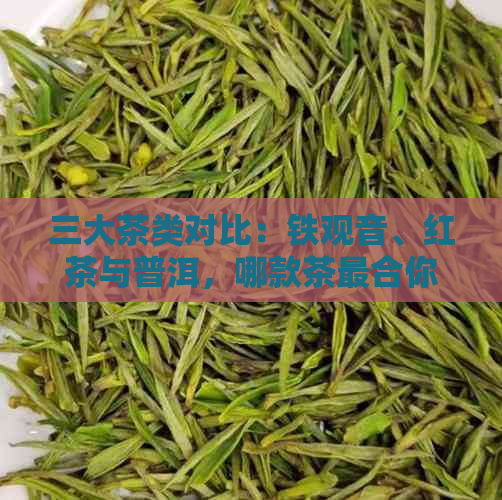 三大茶类对比：铁观音、红茶与普洱，哪款茶最合你口味？