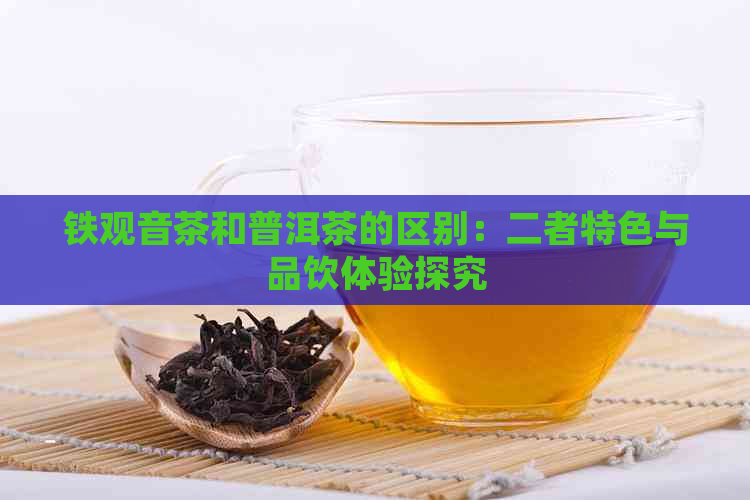 铁观音茶和普洱茶的区别：二者特色与品饮体验探究