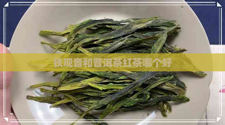 铁观音和普洱茶红茶哪个好