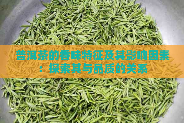 普洱茶的香味特征及其影响因素：探索其与品质的关系