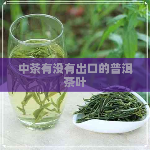 中茶有没有出口的普洱茶叶