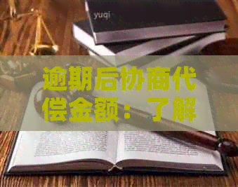 逾期后协商代偿金额：了解菏泽广电网的还款指南