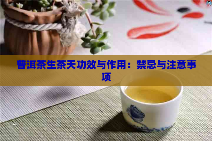 普洱茶生茶天功效与作用：禁忌与注意事项