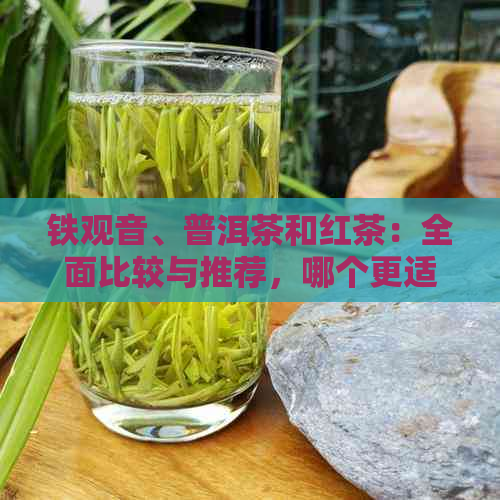 铁观音、普洱茶和红茶：全面比较与推荐，哪个更适合你？