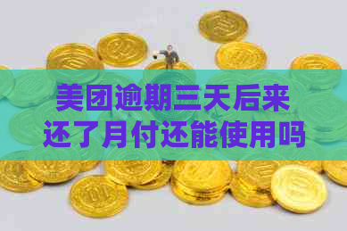 美团逾期三天后来还了月付还能使用吗？安全吗？怎么办？