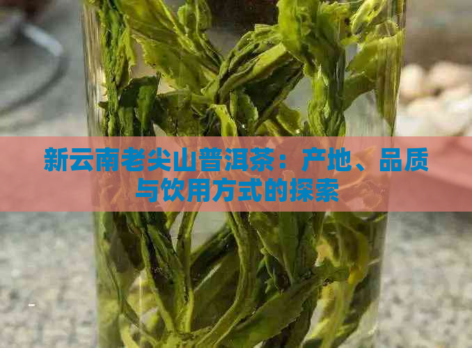 新云南老尖山普洱茶：产地、品质与饮用方式的探索