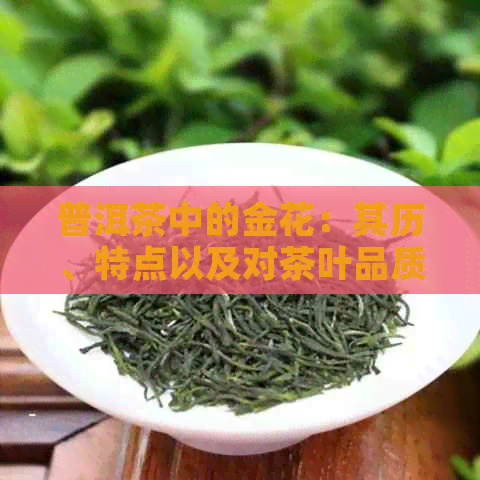 普洱茶中的金花：其历、特点以及对茶叶品质和健的影响详解