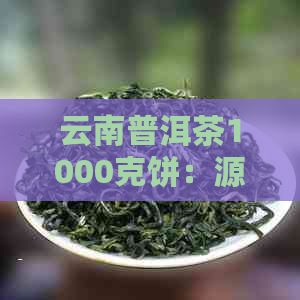 云南普洱茶1000克饼：源自古树，历经风华，品鉴纯正云南味道