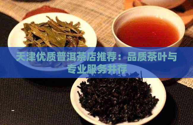 天津优质普洱茶店推荐：品质茶叶与专业服务并存