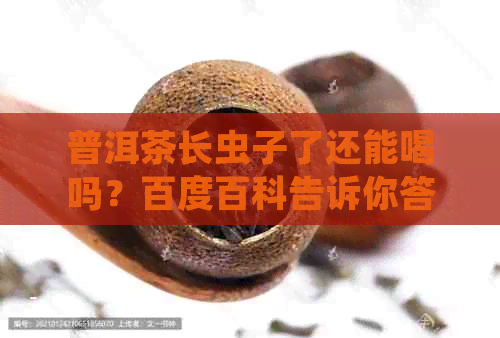 普洱茶长虫子了还能喝吗？百度百科告诉你答案。