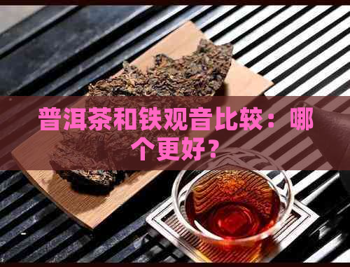 普洱茶和铁观音比较：哪个更好？