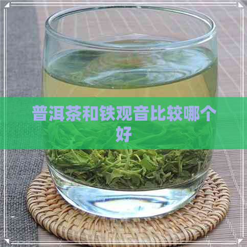 普洱茶和铁观音比较哪个好