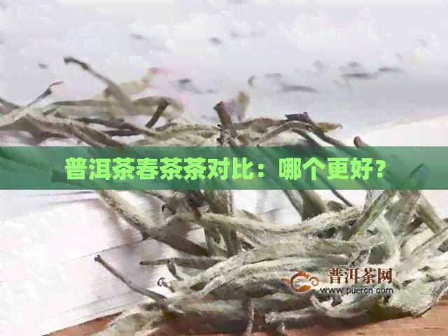 普洱茶春茶茶对比：哪个更好？