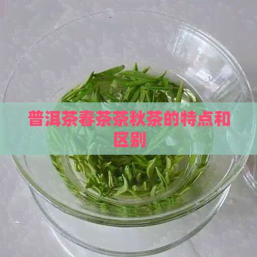 普洱茶春茶茶秋茶的特点和区别