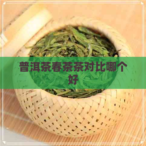 普洱茶春茶茶对比哪个好