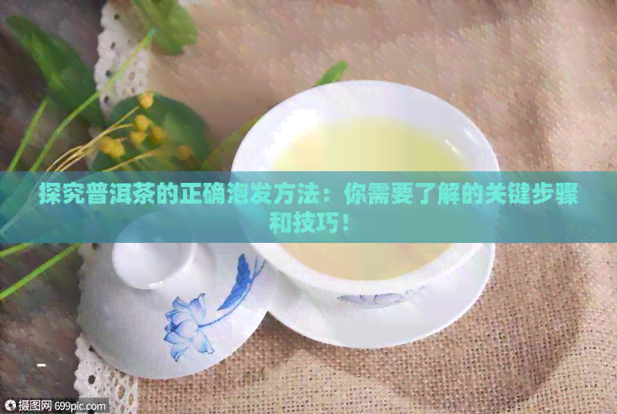 探究普洱茶的正确泡发方法：你需要了解的关键步骤和技巧！